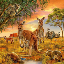 Load image into Gallery viewer, Ravensburger 3 X 49 Piece Animals of the Earth Puzzle
